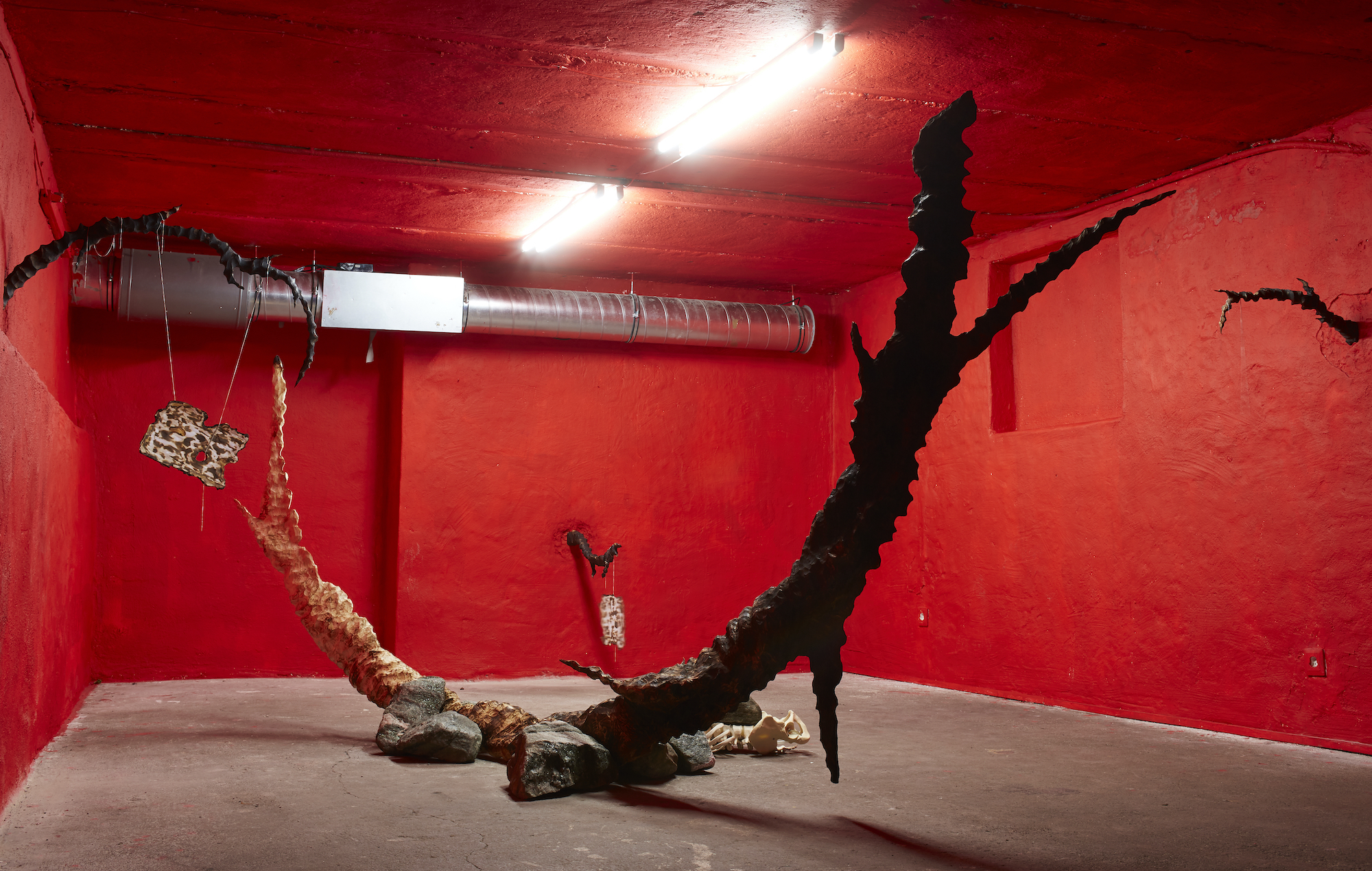 2020 07 Bild8005, Zurich — 01 3 Installation View Crave Cave Jeronim Horvat — Jeronim Horvat